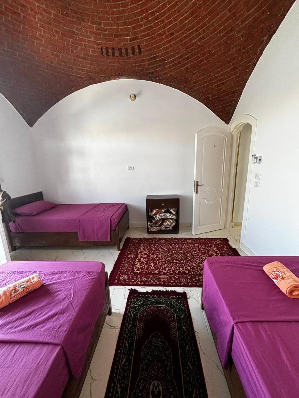 Nile View Guest House أسوان المظهر الخارجي الصورة