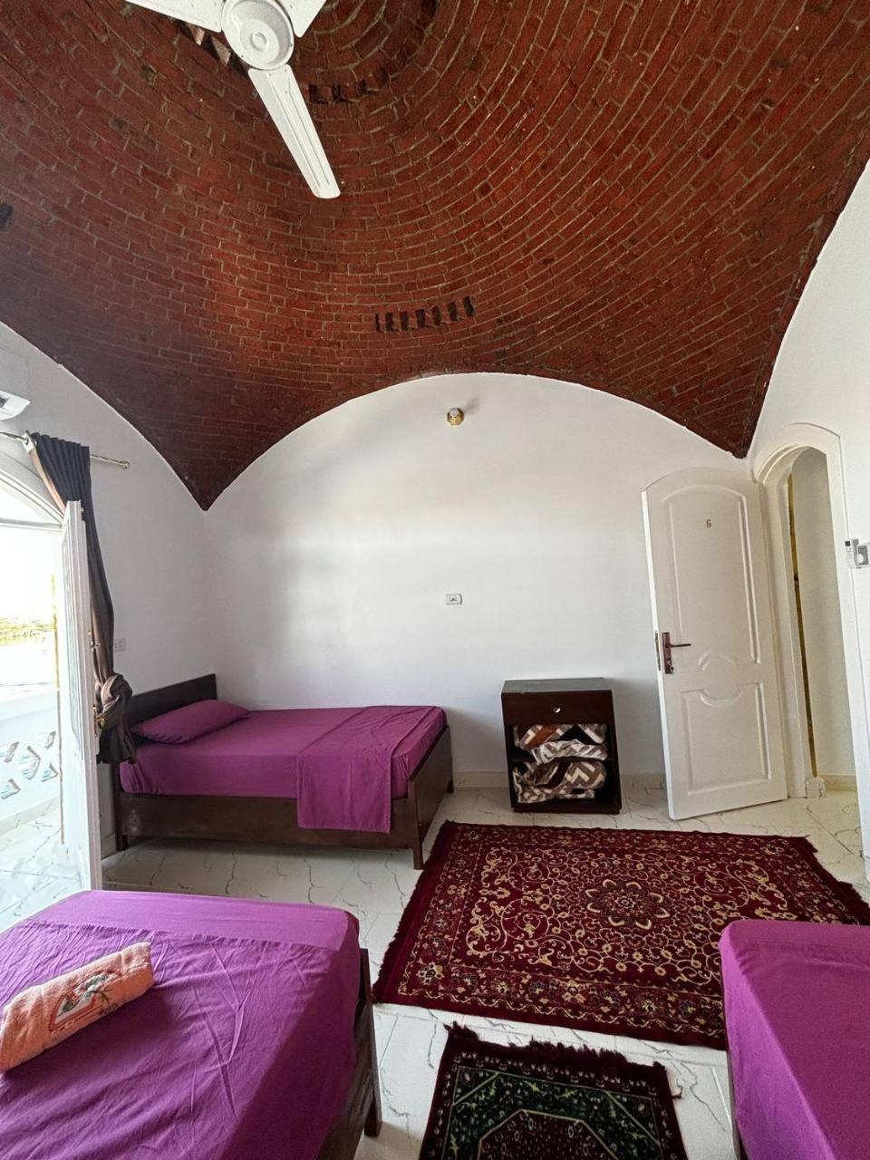 Nile View Guest House أسوان المظهر الخارجي الصورة