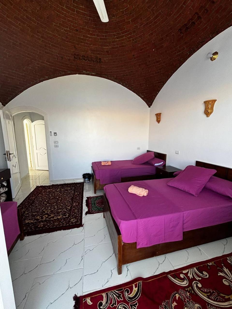 Nile View Guest House أسوان المظهر الخارجي الصورة